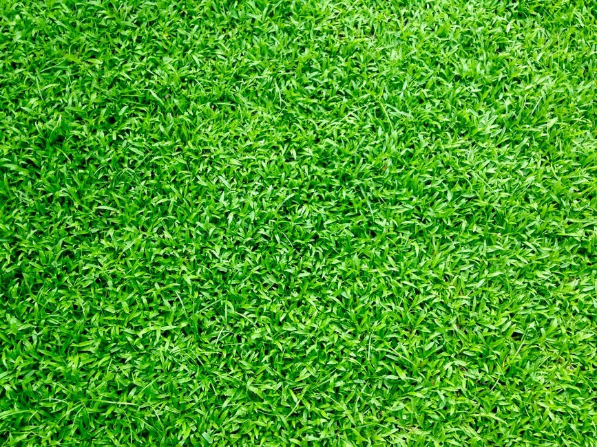 Kunstgras